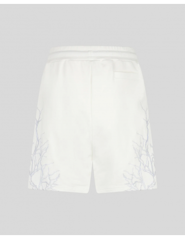 Pantaloncini Phobia Uomo Grey...